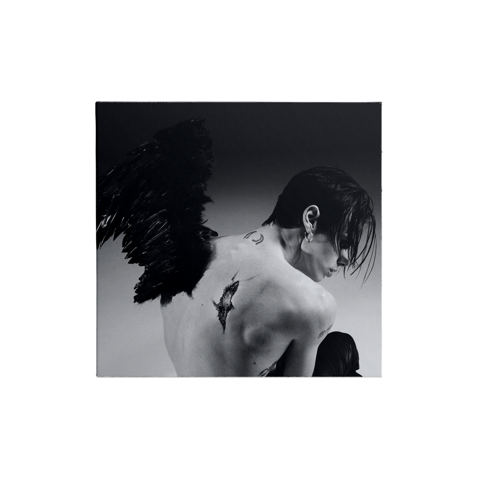Idols Limited Edition Alt CD Bundle CD 2 