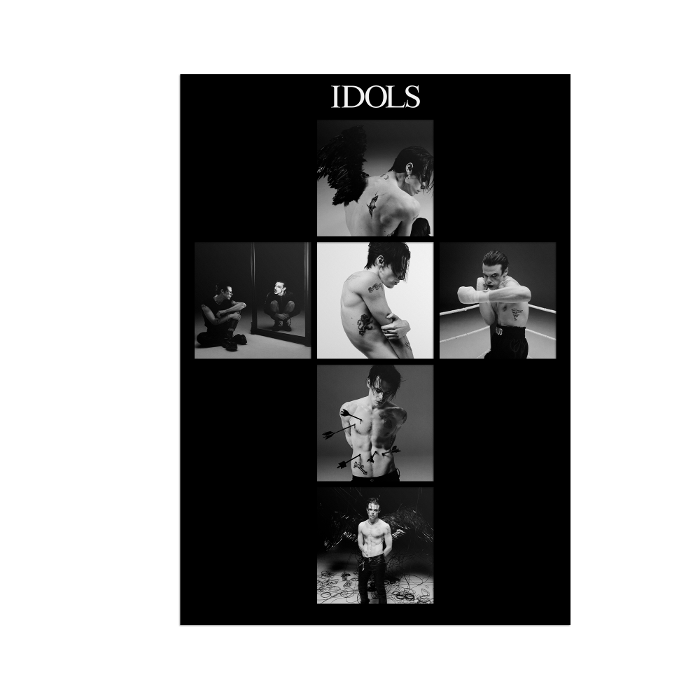 Idols Limited Edition Alt CD Bundle 5 