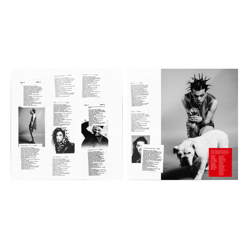 Weird! 5 Year Anniversary Silver Marble Vinyl Insert